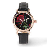 Crimson on Ebony: The Single Red Rose,