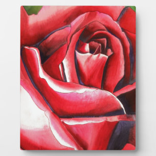 Crimson Red Rose original watercolor art Plaque