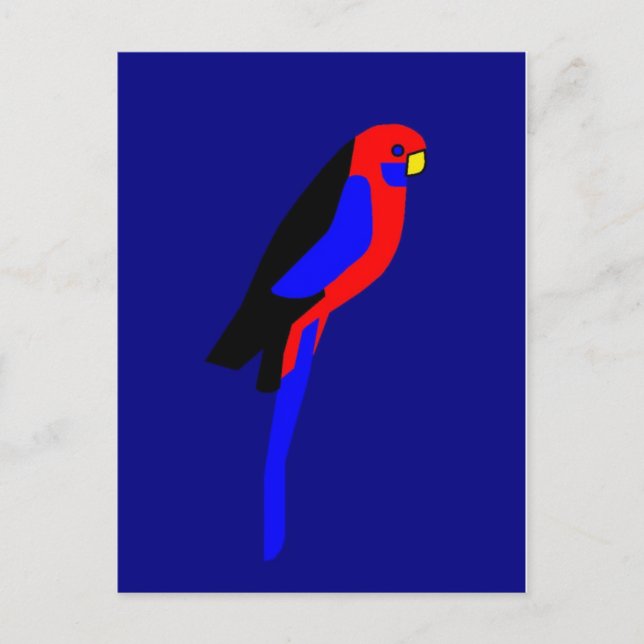 Crimson Rosala - Australian Parrot Postcard (Front)