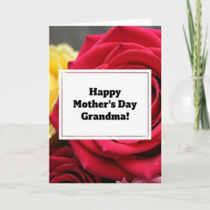 Crimson Rose Message Card