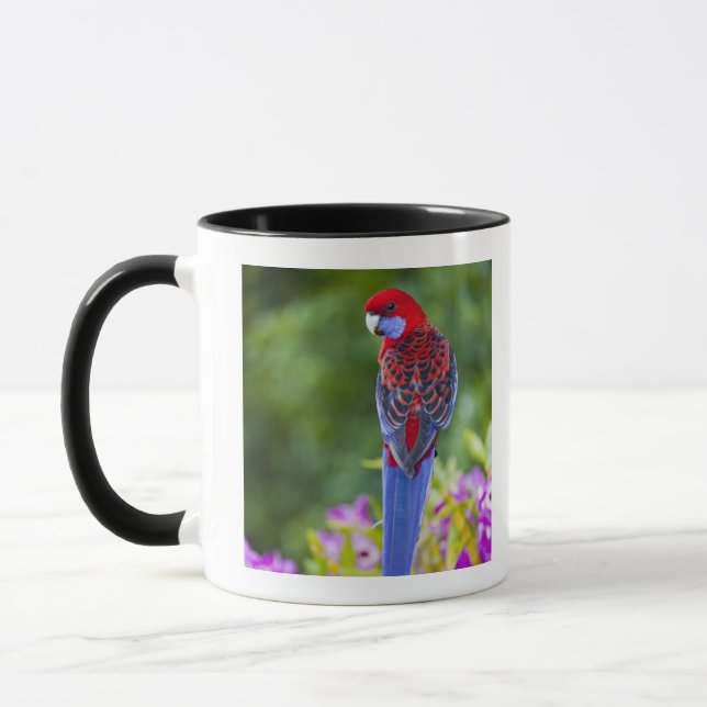 Crimson Rosella & backdrop of orchids Lamington Mug (Left)