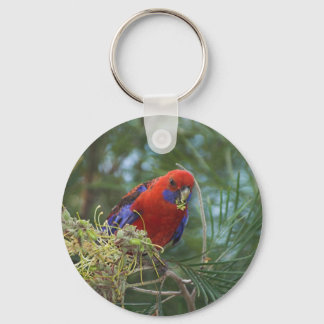 Crimson Rosella Key Ring