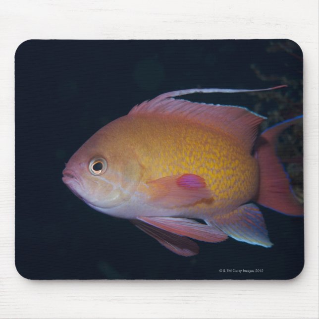 Crimson Seabream Mouse Mat (Front)