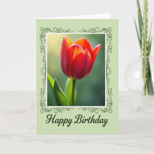 Crimson Tulip Birthday Card
