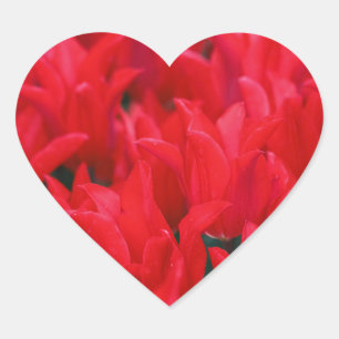 Crimson Waves  Heart Sticker