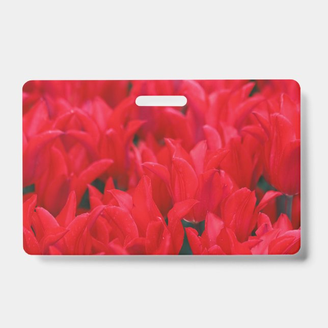Crimson Waves  ID Badge (Front)