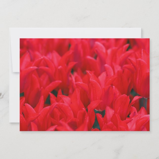 Crimson Waves  Invitation (Front)