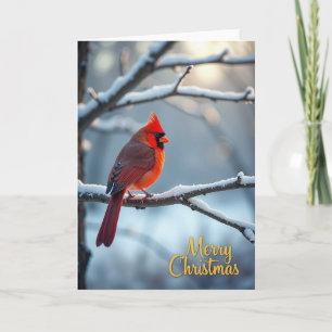 Crimson Winter Bird Card