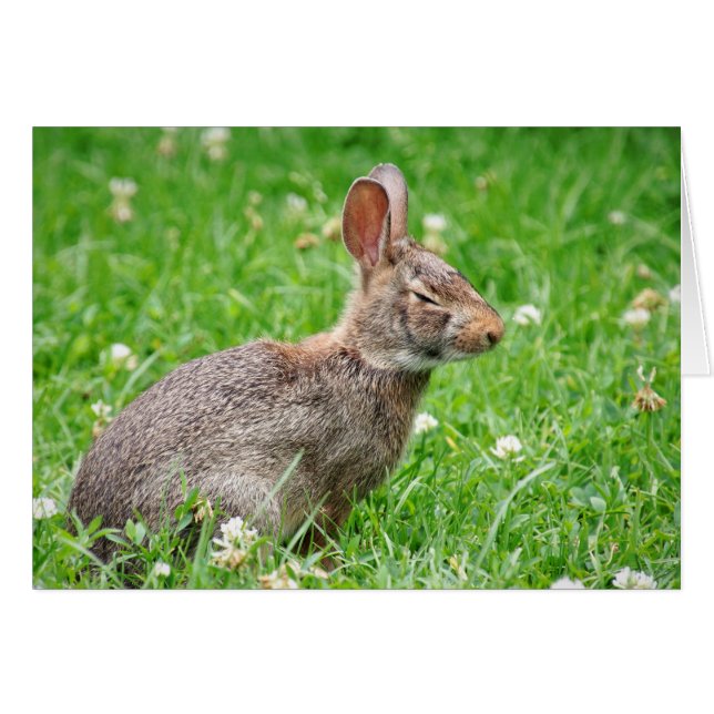 Cringe.  I Missed Your Birthday card (Front Horizontal)