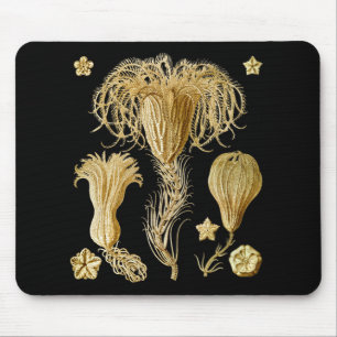Crinoids Mouse Mat