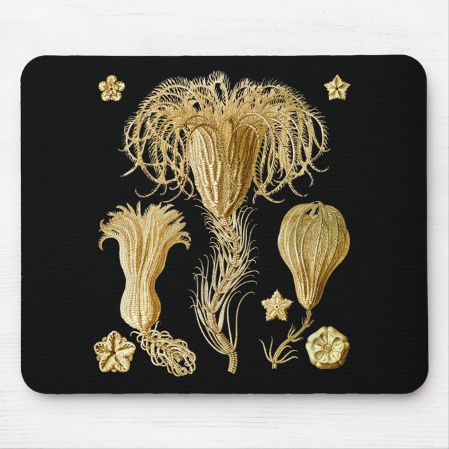 Crinoids Mouse Mat (Front)