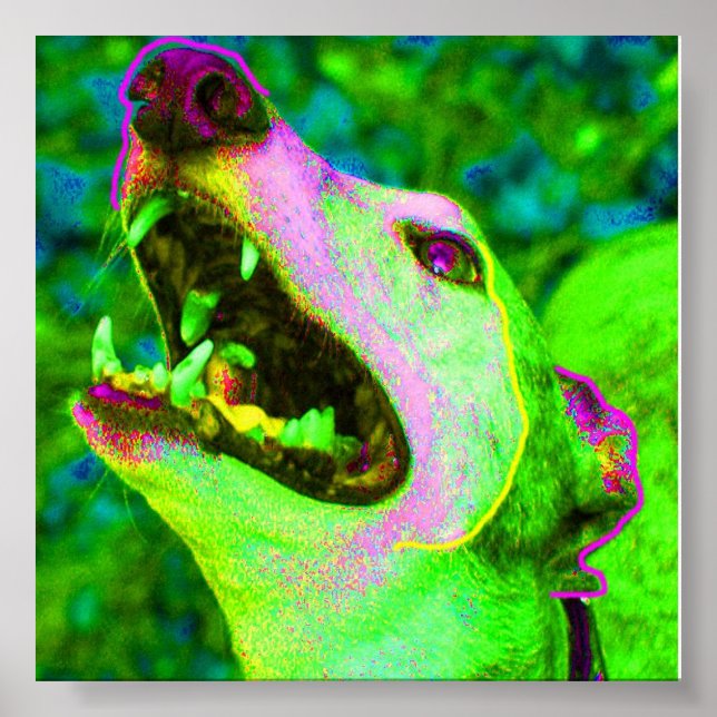 Crisco Poster (Front)