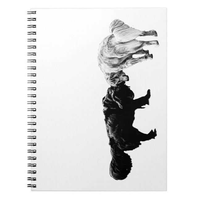 Crisp Notes, Head-to-Head Calm Notebook (Front)