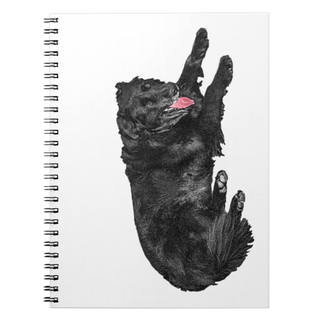 Crisp-Page Plans, Ember-Tongue Friend Notebook (Front)