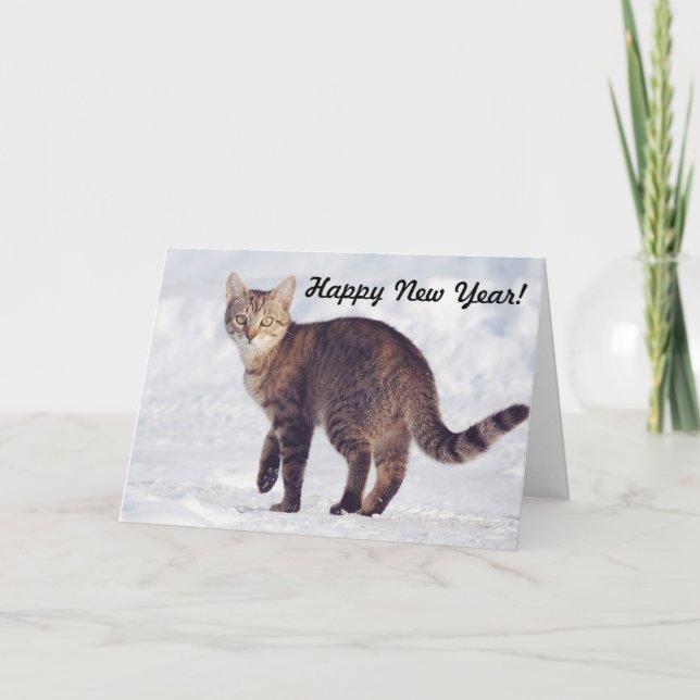 Crisp Snow Cat Happy New Year Card (Front)