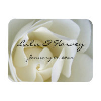 Crisp White Rose