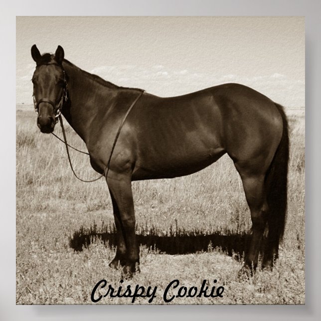 Crispy Cookie Poster (Front)