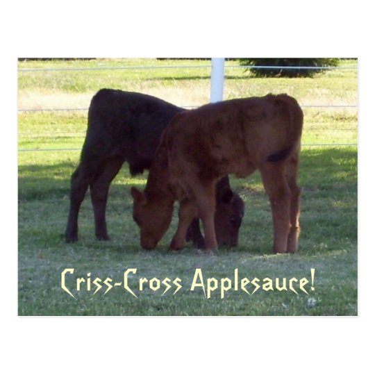 Criss-Cross Applesauce! Calves Postcard