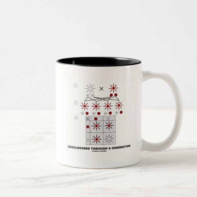 Crisscrossed Through A Generation (Punnett Square) Two-Tone Coffee Mug (Right)