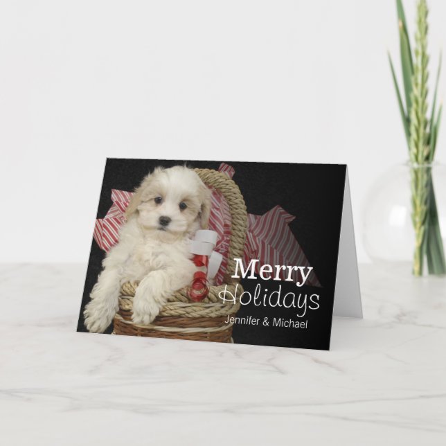 Cristmas Malti-poo puppy sitting in basket Holiday Card (Front)