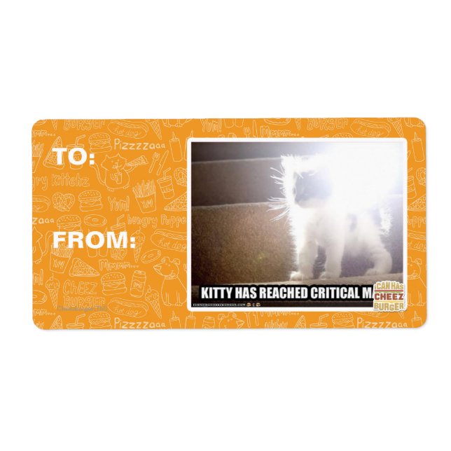 Critical Mass Kitty (Front)