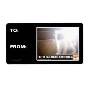 Critical Mass Kitty