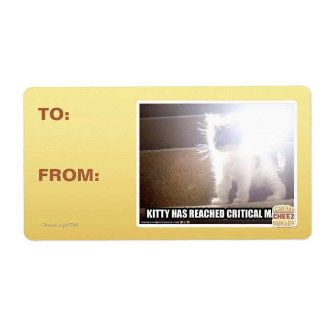 Critical Mass Kitty (Front)
