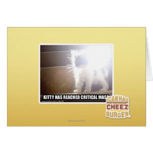 Critical Mass Kitty