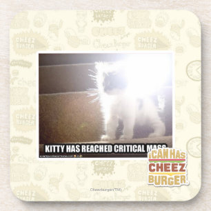 Critical Mass Kitty Coaster