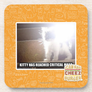 Critical Mass Kitty Coaster