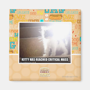 Critical Mass Kitty Magnet