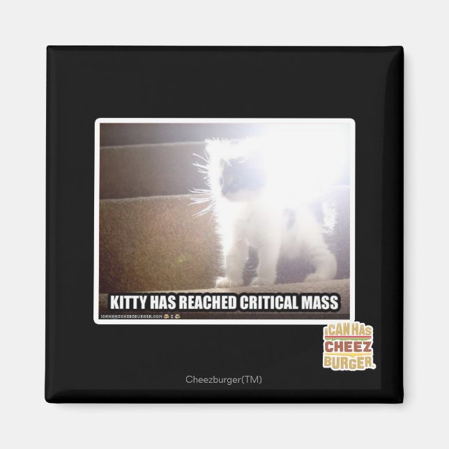 Critical Mass Kitty Magnet (Front)