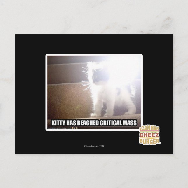 Critical Mass Kitty Postcard (Front)
