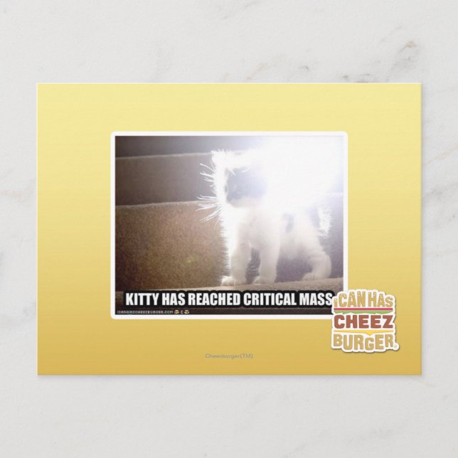 Critical Mass Kitty Postcard (Front)