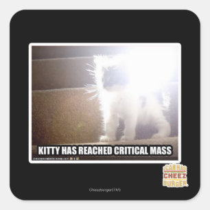 Critical Mass Kitty Square Sticker