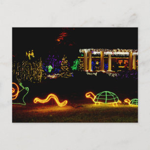 Critter Lights - Shore Acres State Park Oregon Postcard