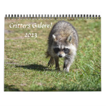 Critters Galore!