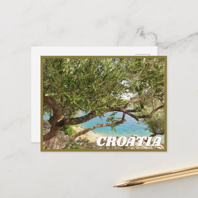 Croatia Mediterranean Sea Olive Tree Photo Postcard (Front/Back In Situ)