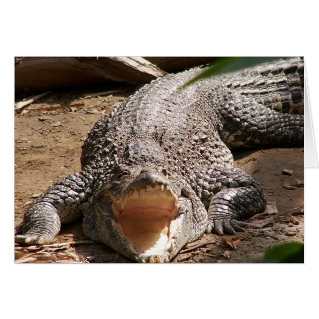 Croc Smile (Front Horizontal)