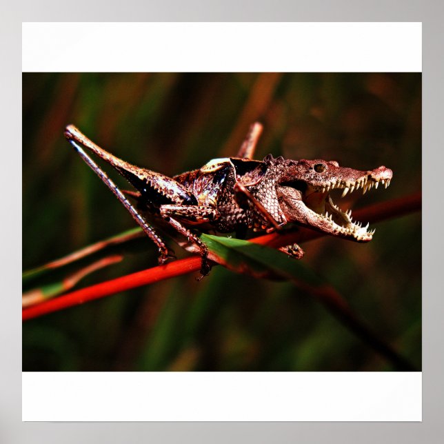 Crocket poster (Front)