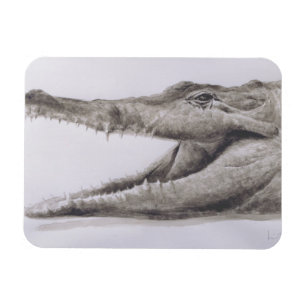 Crocodile 2005 magnet