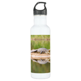 Crocodile 710 Ml Water Bottle