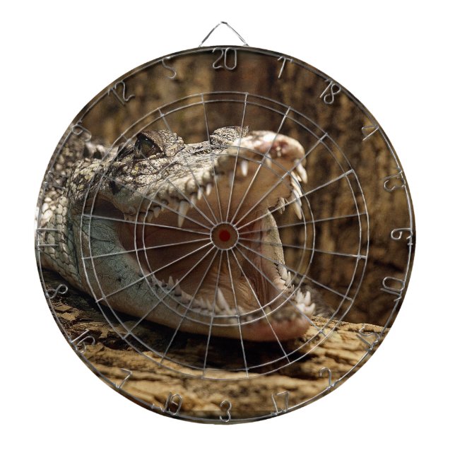 Crocodile Alligator Reptile Wildlife Dart Board (Front)
