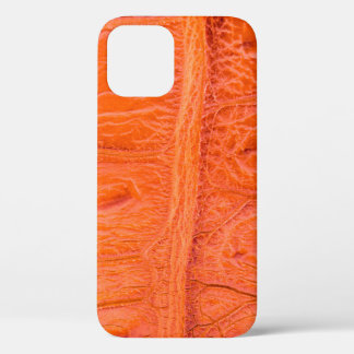 Crocodile belly skin texture background. This imag iPhone 12 Case