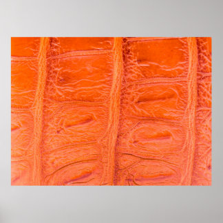 Crocodile belly skin texture background. This imag Poster