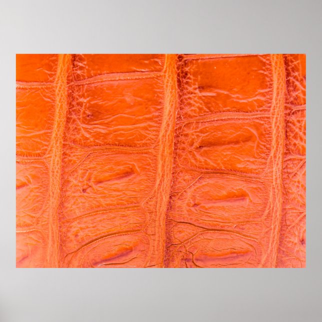 Crocodile belly skin texture background. This imag Poster (Front)