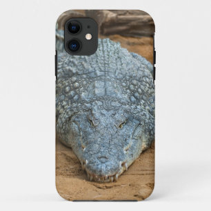 Crocodile iPhone 11 Case