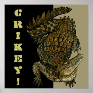 Crocodile Crikey! Poster