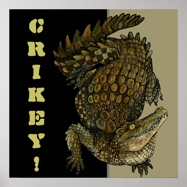 Crocodile Crikey! Poster (Front)