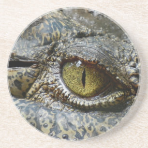 crocodile eye face animal custom personalise diy coaster